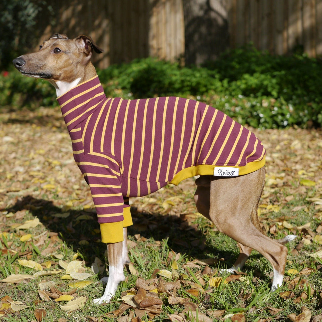 The Padfoot - Italian Greyhound (Iggy) Dog Clothing & Coats