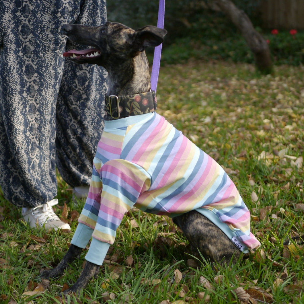 Paddlepup - Whippet Dog Clothing & Coats