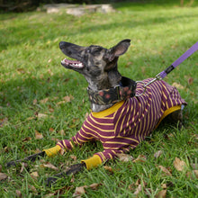 Load image into Gallery viewer, The Padfoot - Whippet Dog Clothing &amp; Coats

