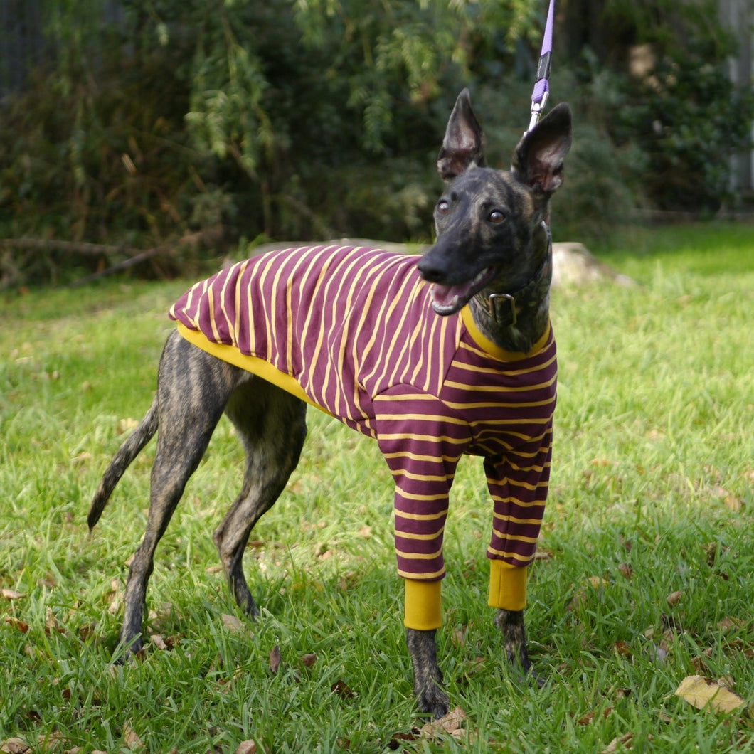 The Padfoot - Whippet Dog Clothing & Coats