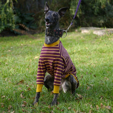 Load image into Gallery viewer, The Padfoot - Whippet Dog Clothing &amp; Coats
