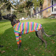 Load image into Gallery viewer, Sour Patch Pup - Whippet Dog Clothing &amp; Coats
