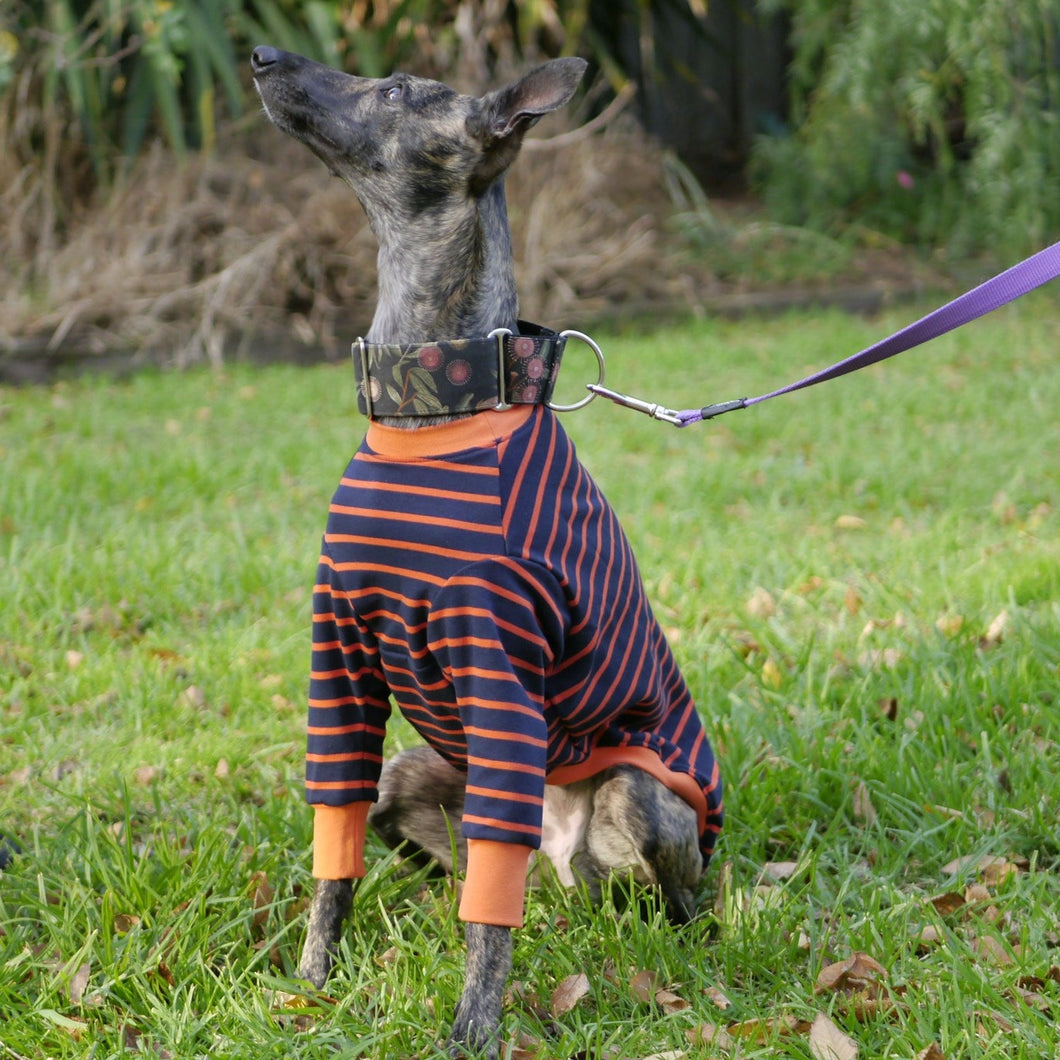 Gator Hound - Whippet Dog Clothing & Coats