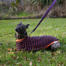 Load image into Gallery viewer, Gator Hound - Whippet Dog Clothing &amp; Coats
