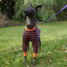 Load image into Gallery viewer, Gator Hound - Whippet Dog Clothing &amp; Coats

