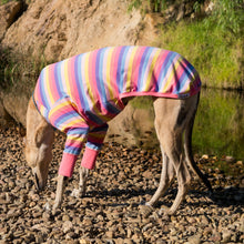 Load image into Gallery viewer, Candy Cuff - Greyhound Dog Clothing &amp; Coats
