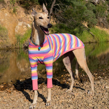 Load image into Gallery viewer, Candy Cuff - Greyhound Dog Clothing &amp; Coats
