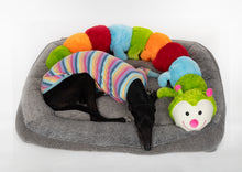 Load image into Gallery viewer, Cuddlepillar XL - Standard - Extra Large Dog Plush Toy
