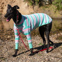 Load image into Gallery viewer, Soda Snoot - Whippet Dog Clothing &amp; Coats
