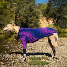 Load image into Gallery viewer, Violet Zoomie - Whippet Dog Clothing &amp; Coats
