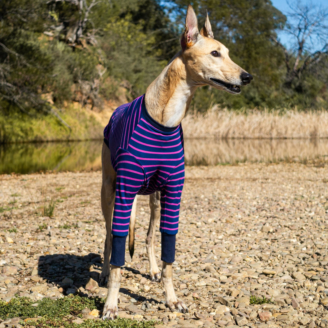 Violet Zoomie - Greyhound Dog Clothing & Coats