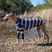 Load image into Gallery viewer, Coco De Snooze - Greyhound Dog Clothing &amp; Coats
