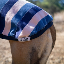 Load image into Gallery viewer, Dog wearing a blue and pink striped sweater with &#39;Keiko&#39; branding in an outdoor setting.
