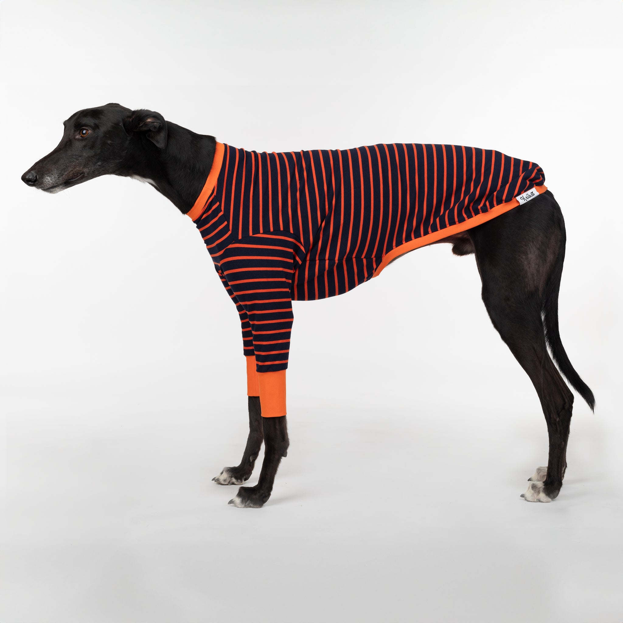 Gator Hound - Whippet Dog Clothing & Coats – Keiko Dogs