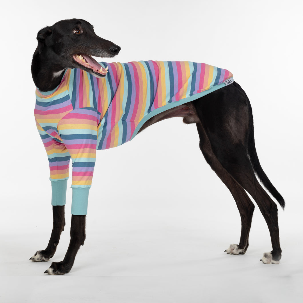 Paddlepup - Greyhound Dog Clothing & Coats
