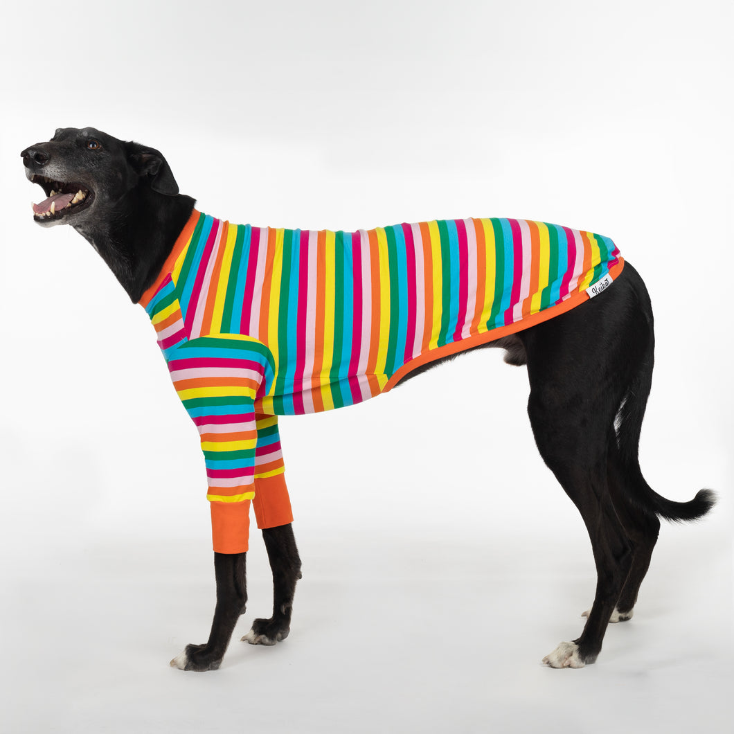 Sour Patch Pup - Whippet Dog Clothing & Coats