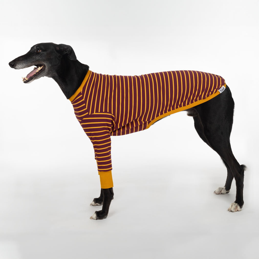 The Padfoot - Greyhound Dog Clothing & Coats