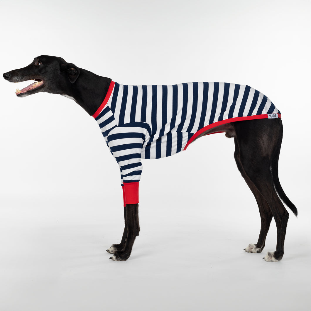 Sailor Rouge - Greyhound Dog Clothing & Coats