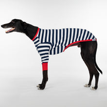 Load image into Gallery viewer, Sailor Rouge - Whippet Dog Clothing &amp; Coats
