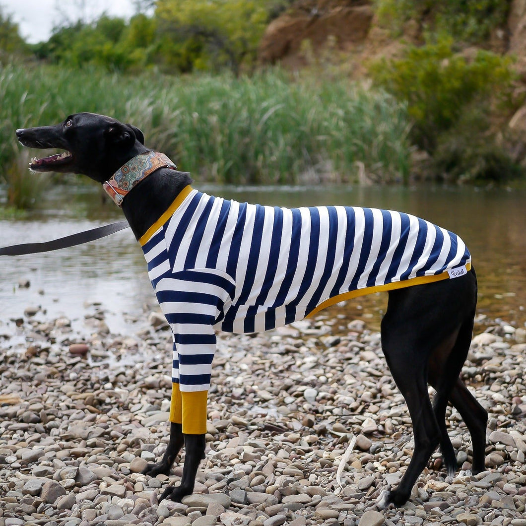 Sailor Mustard - Whippet Dog Clothing & Coats