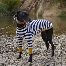 Load image into Gallery viewer, Sailor Mustard - Whippet Dog Clothing &amp; Coats
