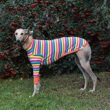 Load image into Gallery viewer, Sour Patch Pup - Whippet Dog Clothing &amp; Coats
