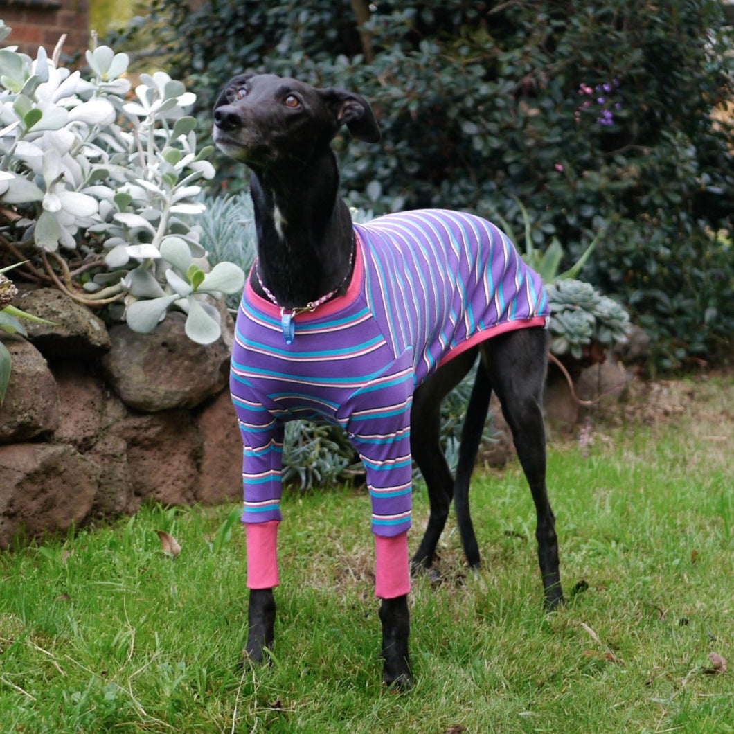 Cyber Hound - Greyhound Dog Clothing & Coats