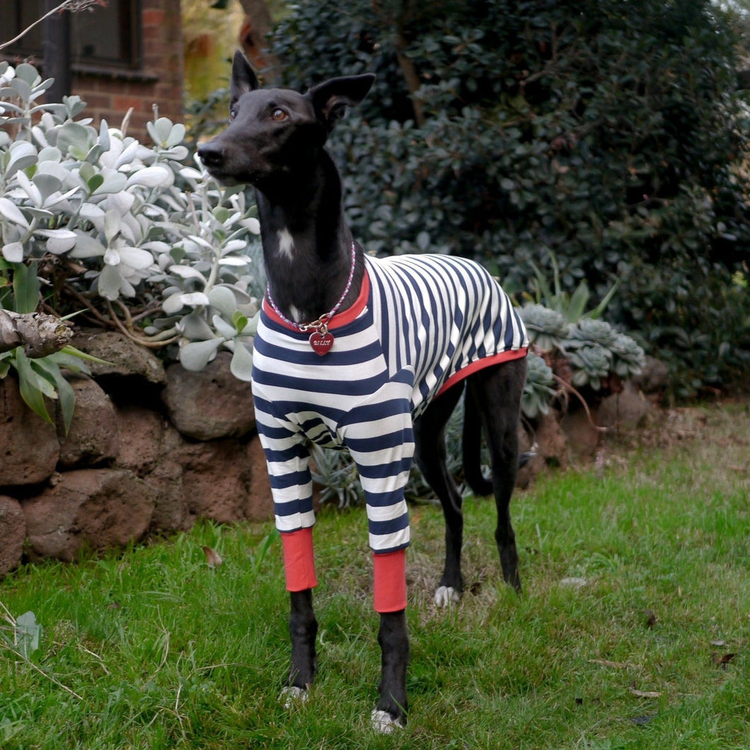 Sailor Rouge - Greyhound Dog Clothing & Coats