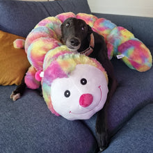 Load image into Gallery viewer, Cuddlepillar XL - Rainbow
