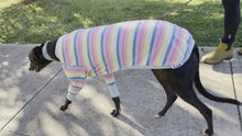Load and play video in Gallery viewer, Paddlepup - Greyhound Dog Clothing &amp; Coats
