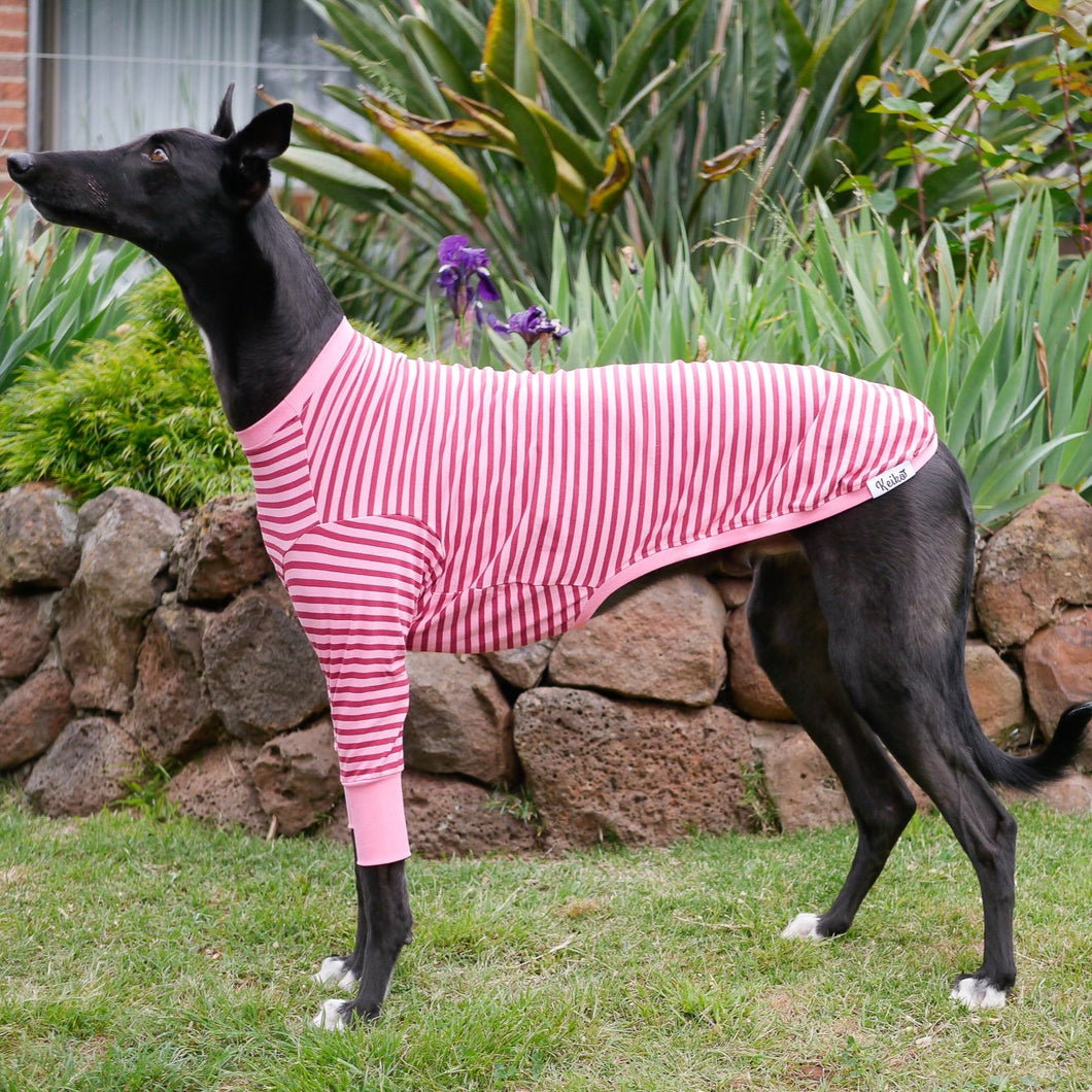 Candy Cane