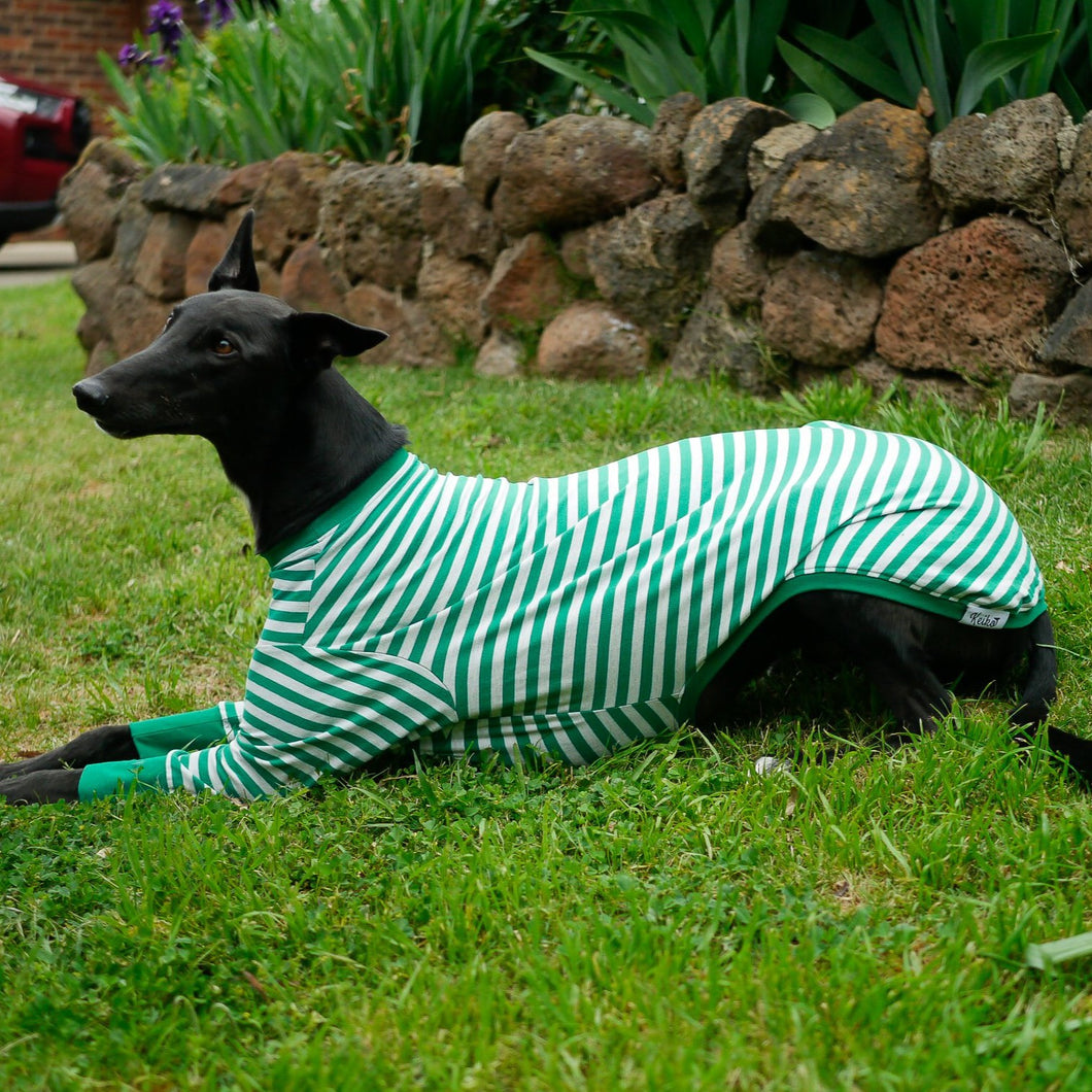 Sports Hound
