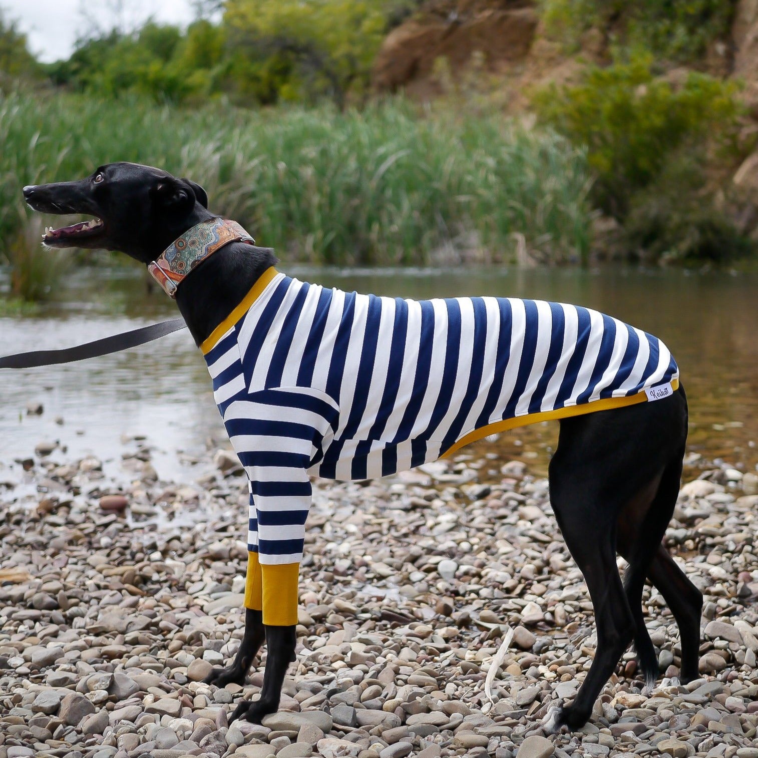 Clothing for greyhounds outlet